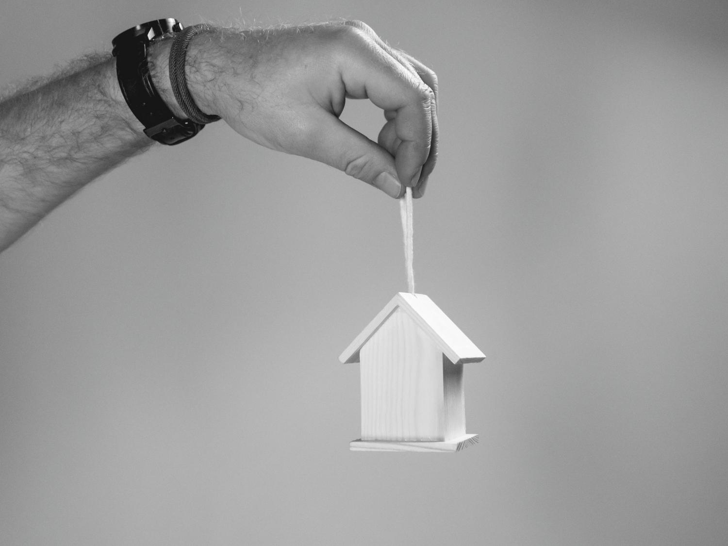 person holding miniature wooden bird house 