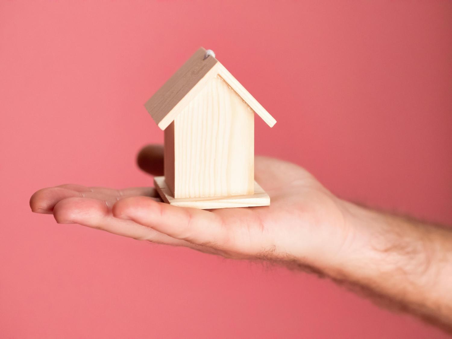 person holding brown miniature house 