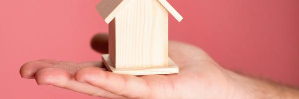 person holding brown miniature house 